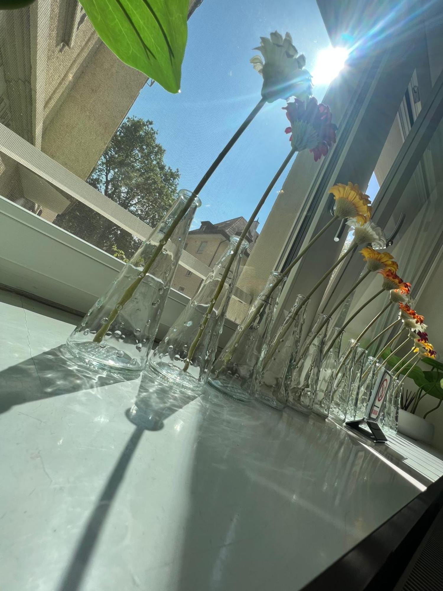 Aparthotel Seefeld Residenz Zürich
